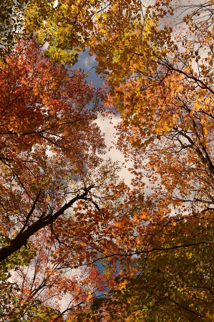 Autumn Adventures: What to Wear for Family Days Out