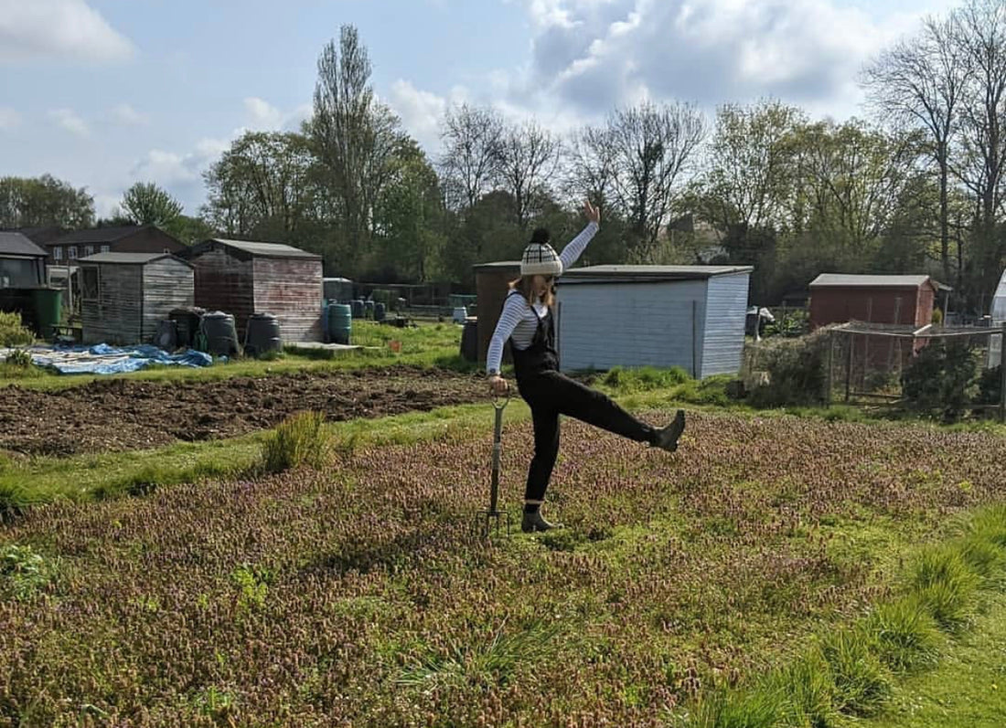 Turtledove London Talks: Growing a veg allotment with Paula Saxby