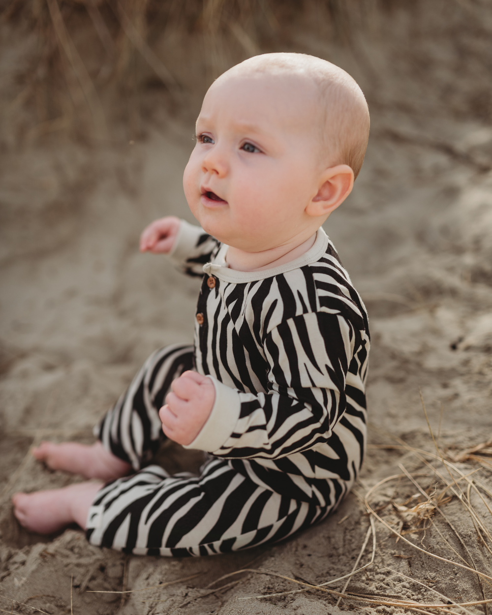 Multicolour Zebra Streak Print Romper - image 3