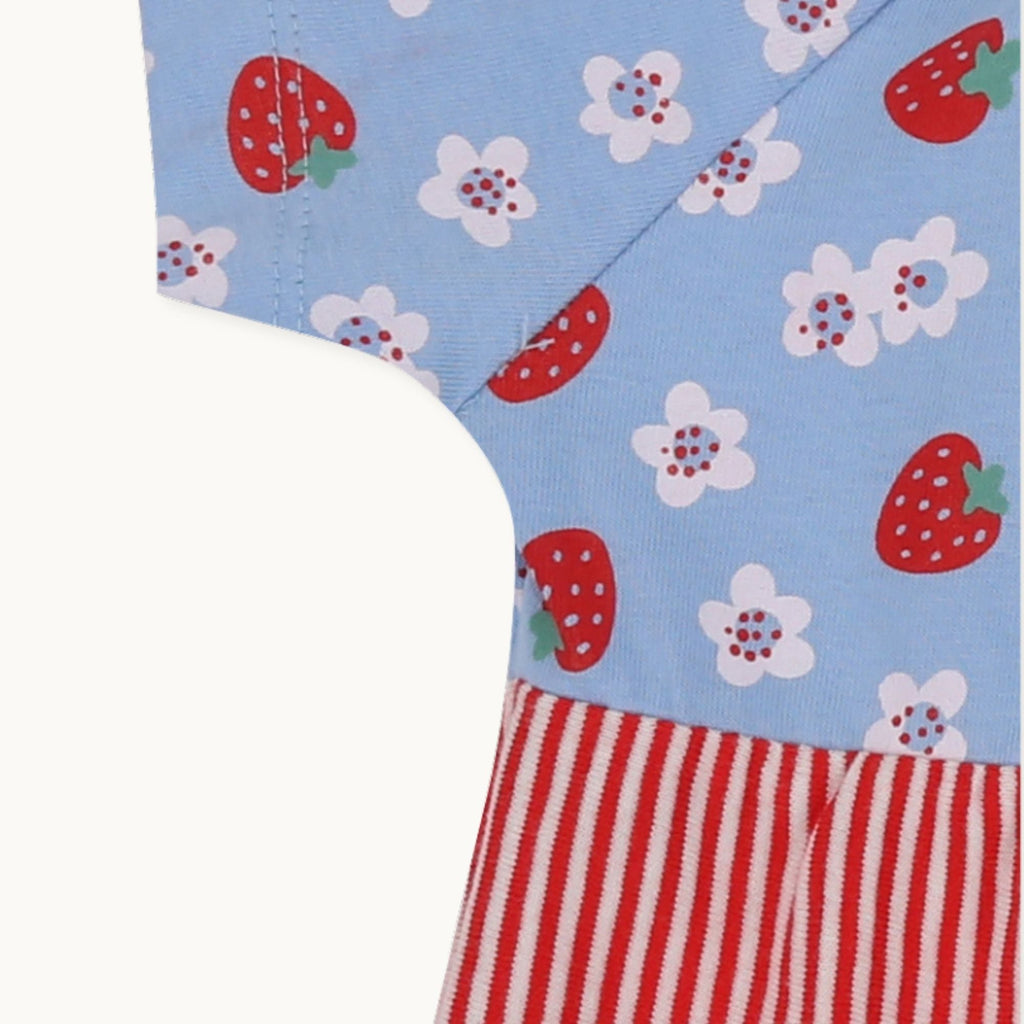 Multicoloured Strawberry Print Dress