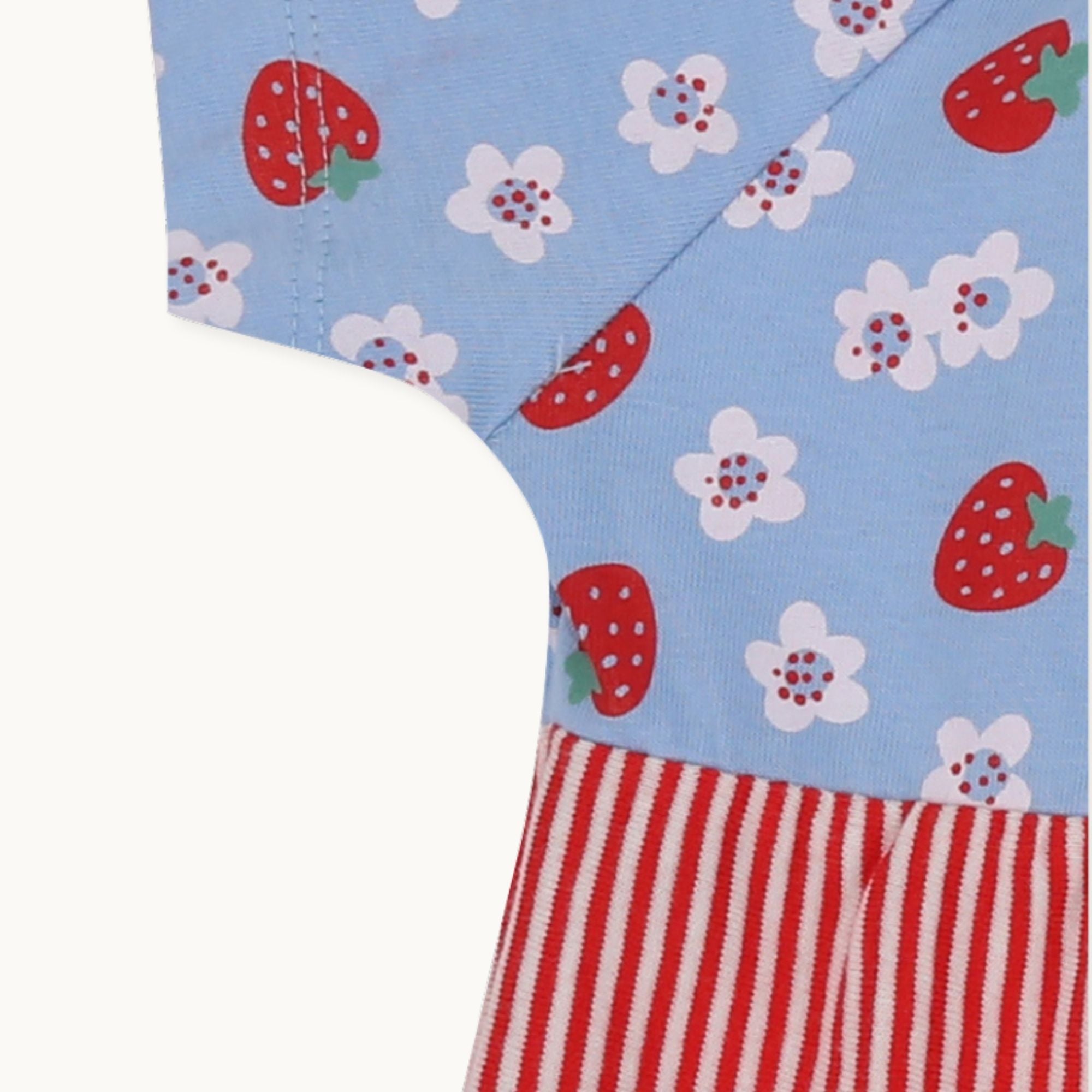 Multicoloured Strawberry Print Dress