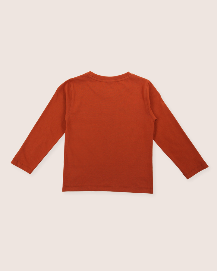 The Wild Mountains Top, a rust-colored long-sleeved shirt made from organic cotton, is displayed on a light background, laid flat with its arms spread out.