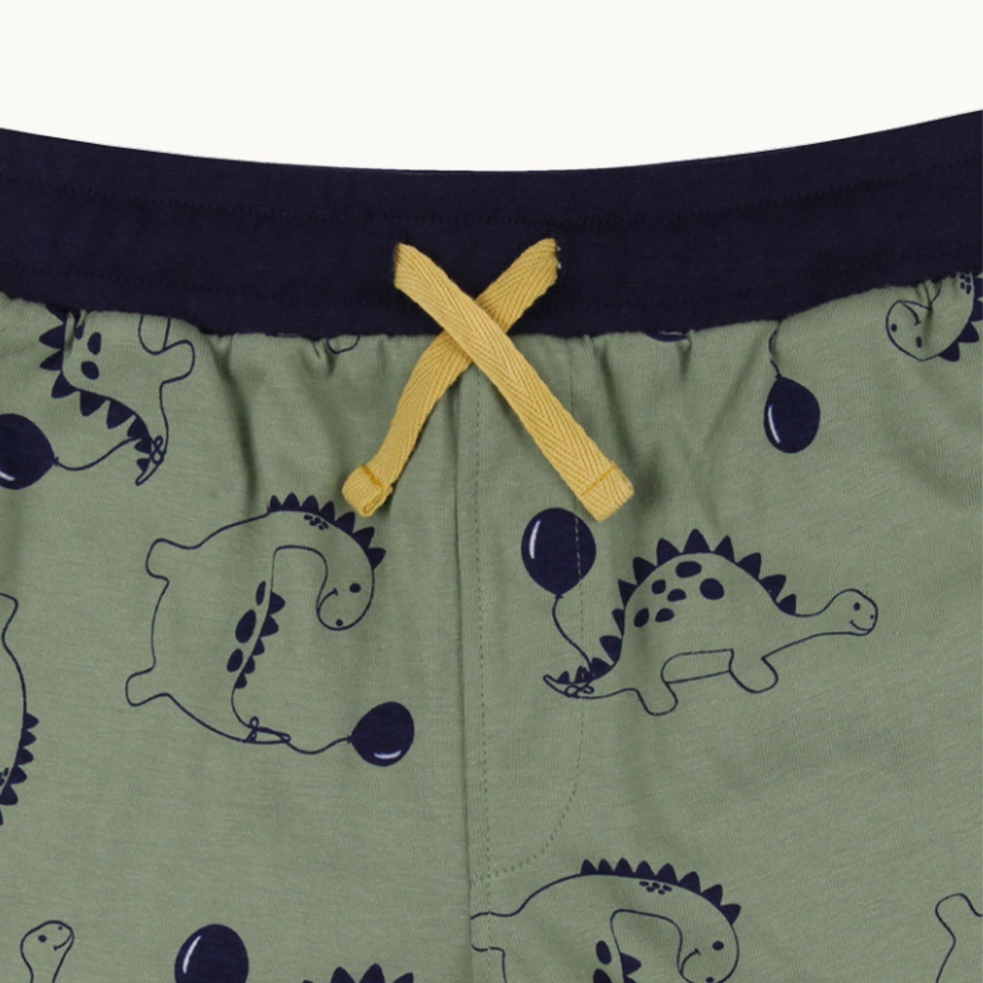 Multicoloured Dinosaur And Stripe Print Short - 2 Pack