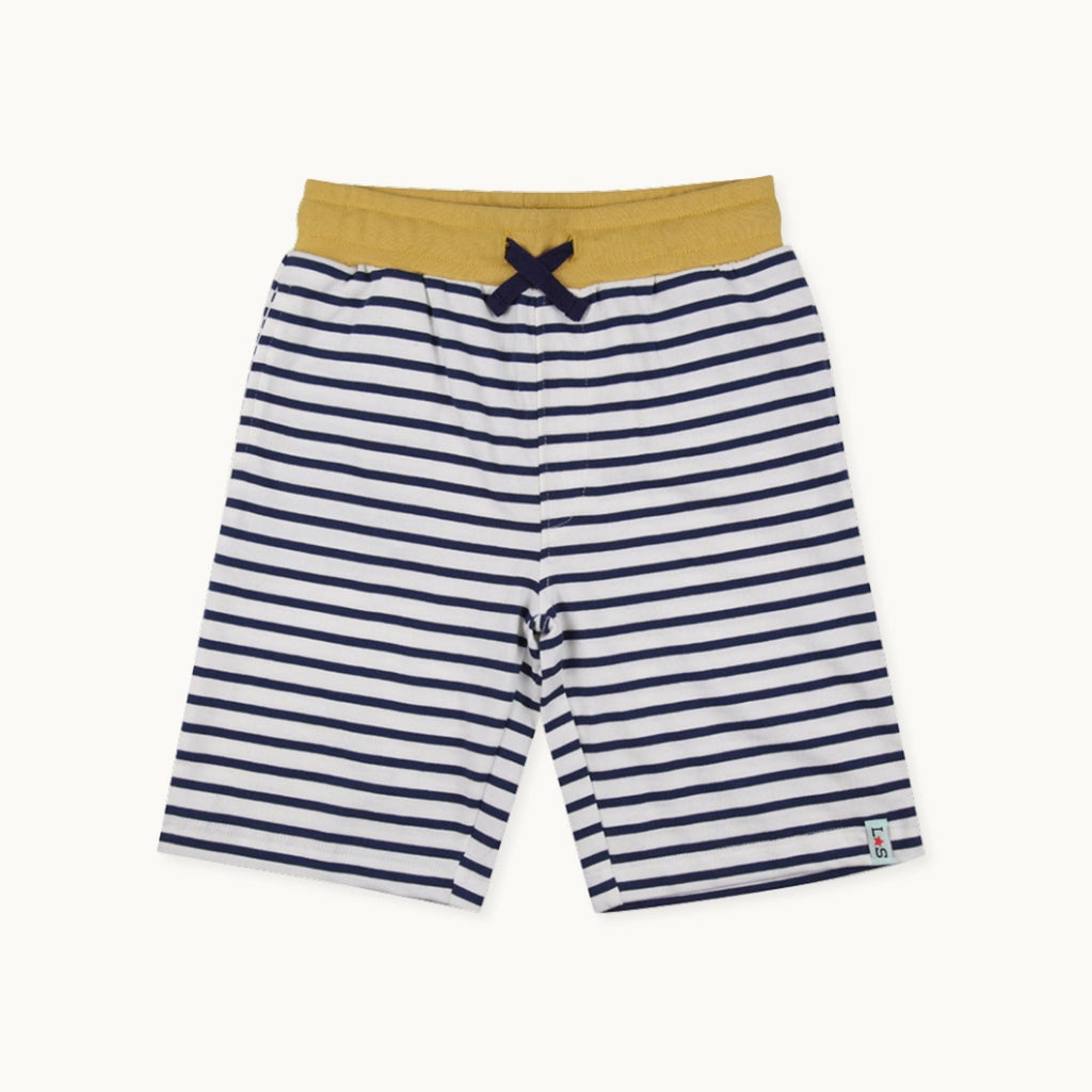 Multicoloured Dinosaur And Stripe Print Short - 2 Pack