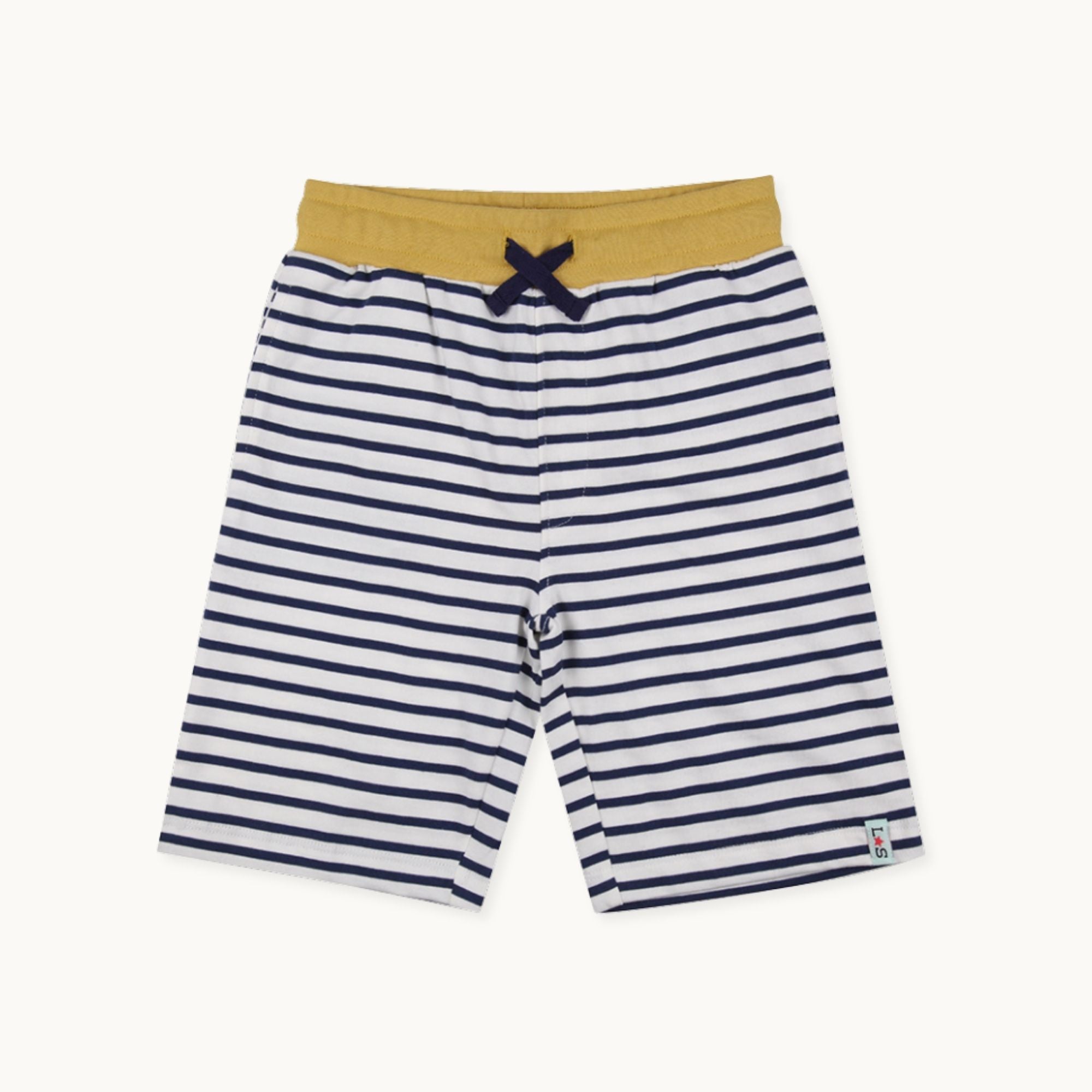 Multicoloured Dinosaur And Stripe Print Short - 2 Pack