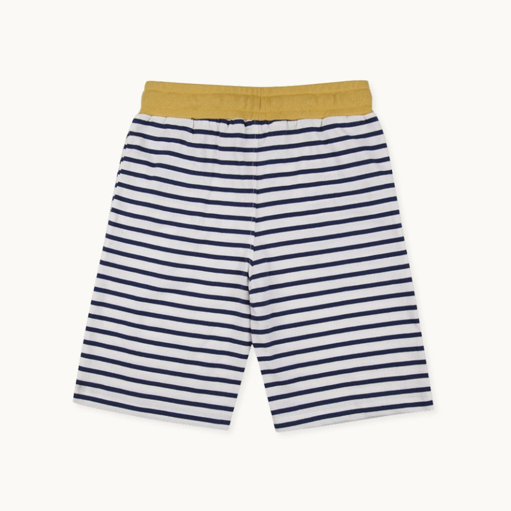 Multicoloured Dinosaur And Stripe Print Short - 2 Pack