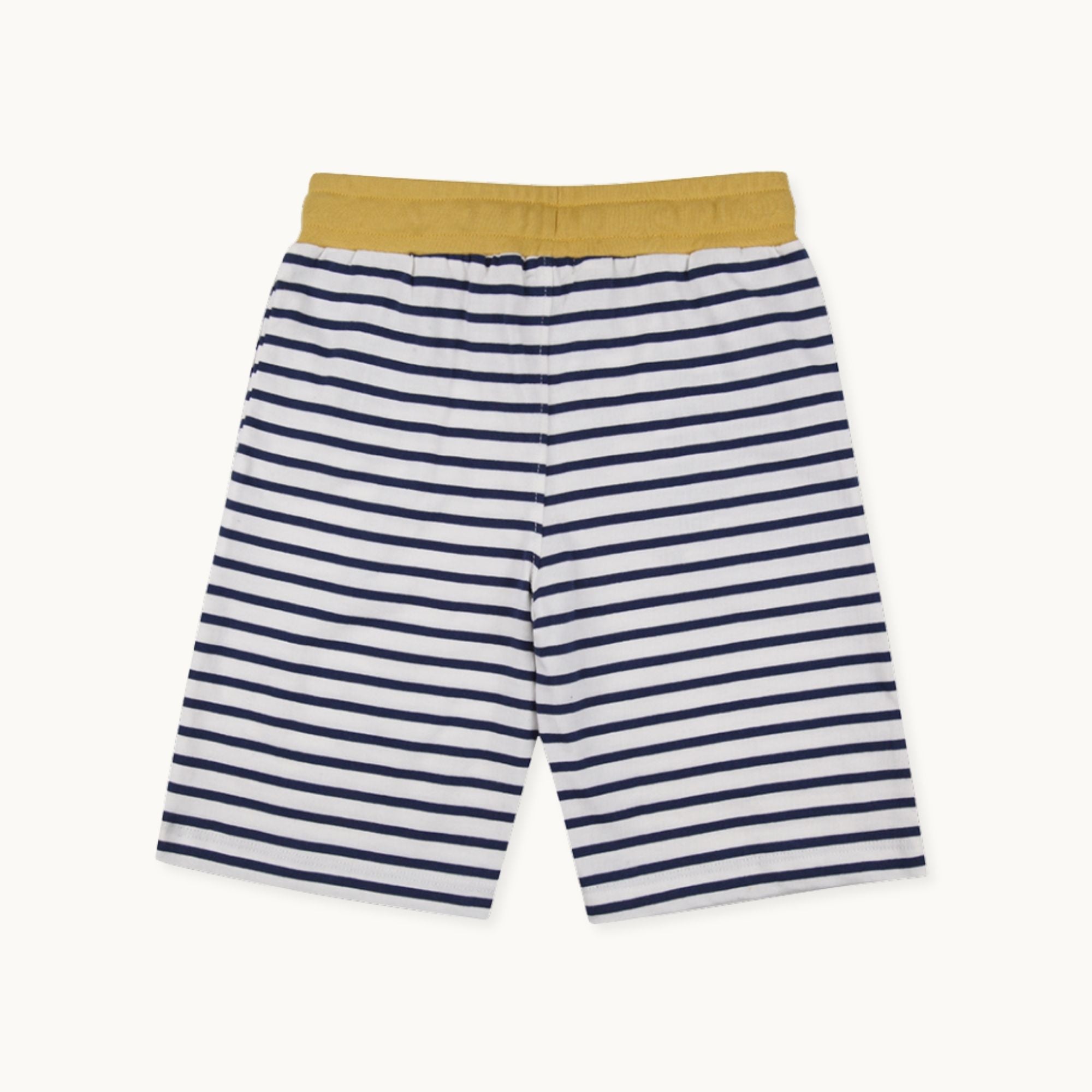 Multicoloured Dinosaur And Stripe Print Short - 2 Pack