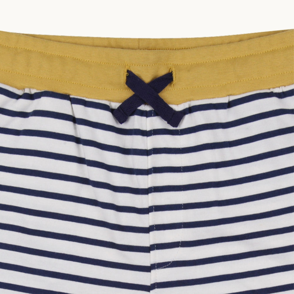 Multicoloured Dinosaur And Stripe Print Short - 2 Pack