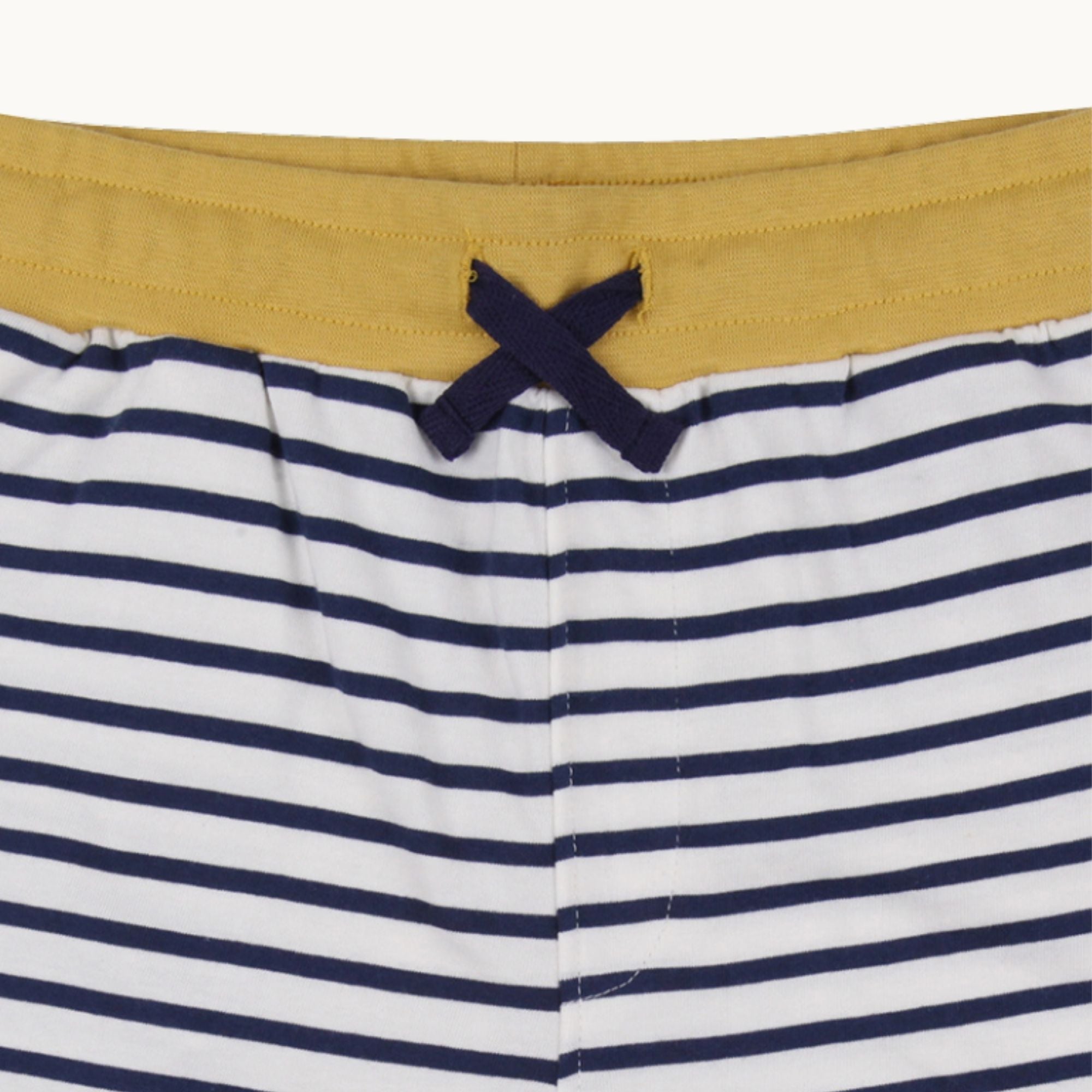 Multicoloured Dinosaur And Stripe Print Short - 2 Pack