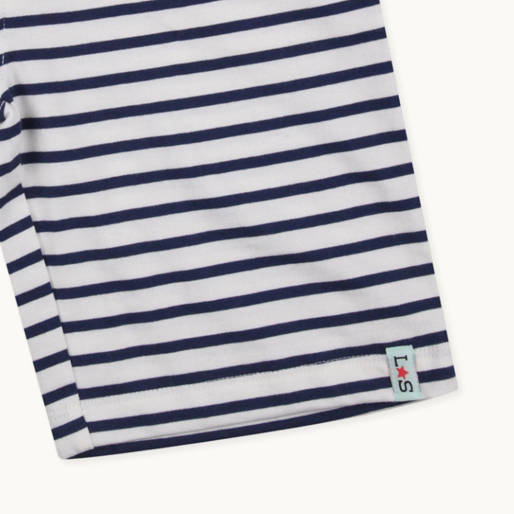Multicoloured Dinosaur And Stripe Print Short - 2 Pack