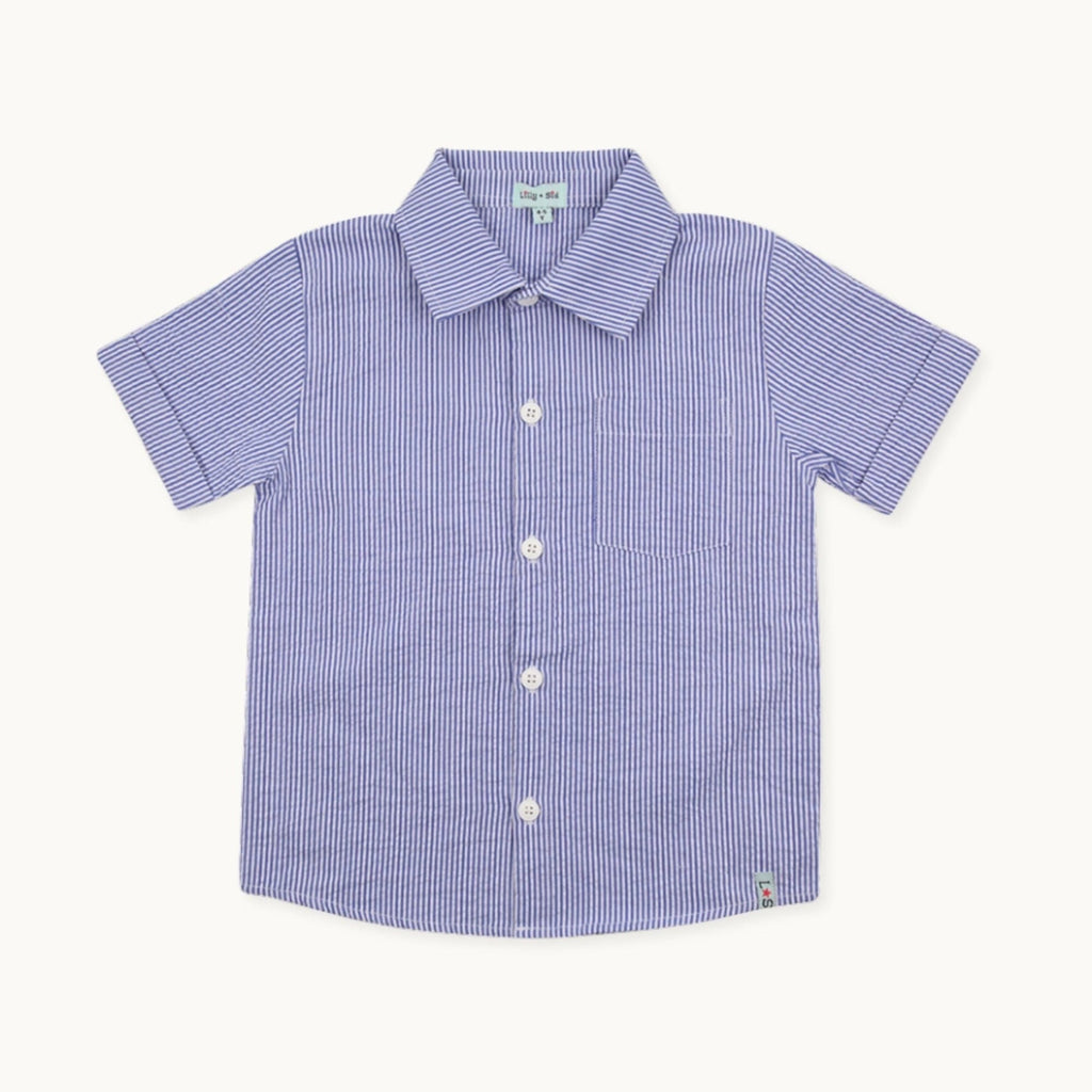 Blue Stripe Print Shirt