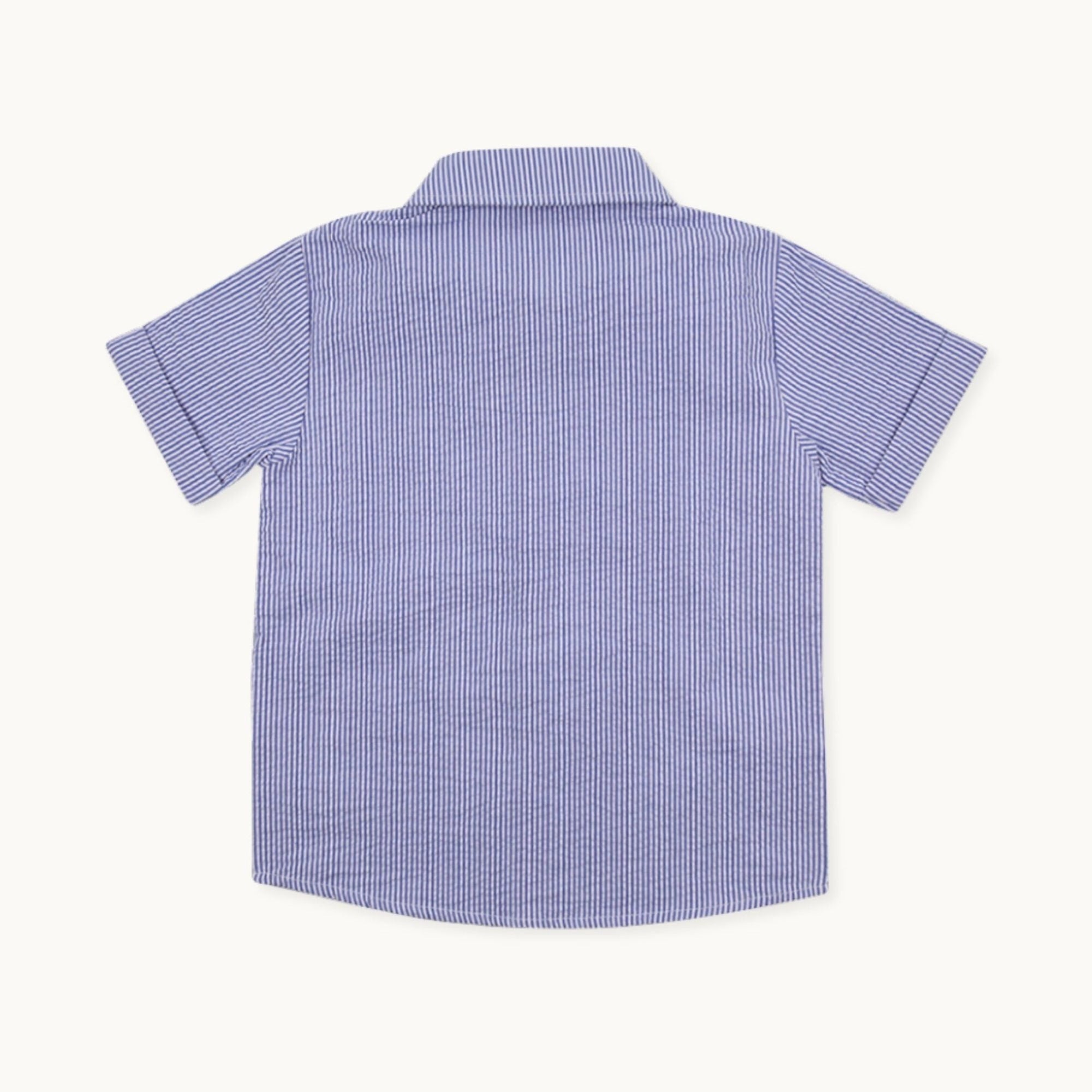 Blue Stripe Print Shirt