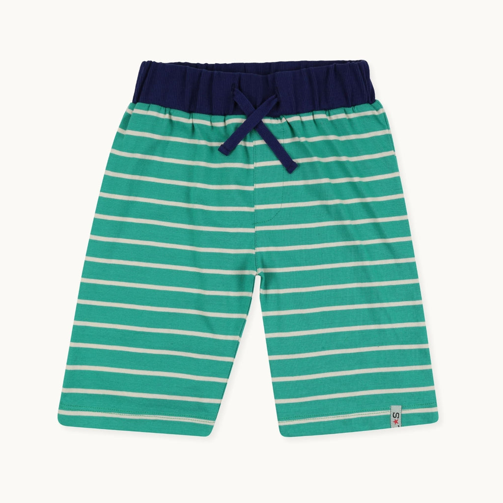 Multicoloured Bugs And Stripe Print Short - 2 Pack