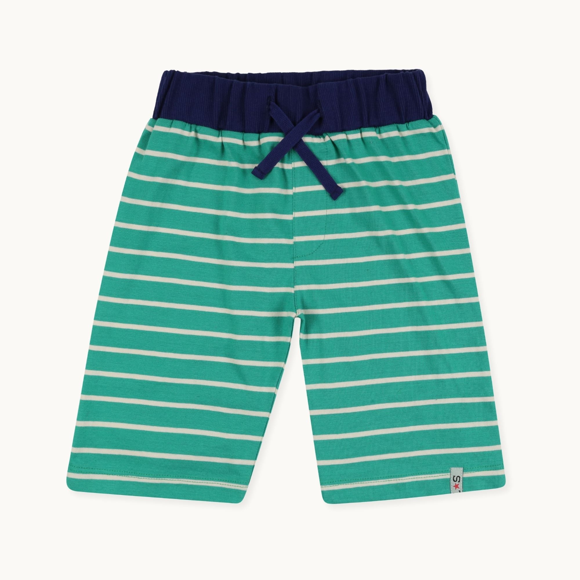 Multicoloured Bugs And Stripe Print Short - 2 Pack