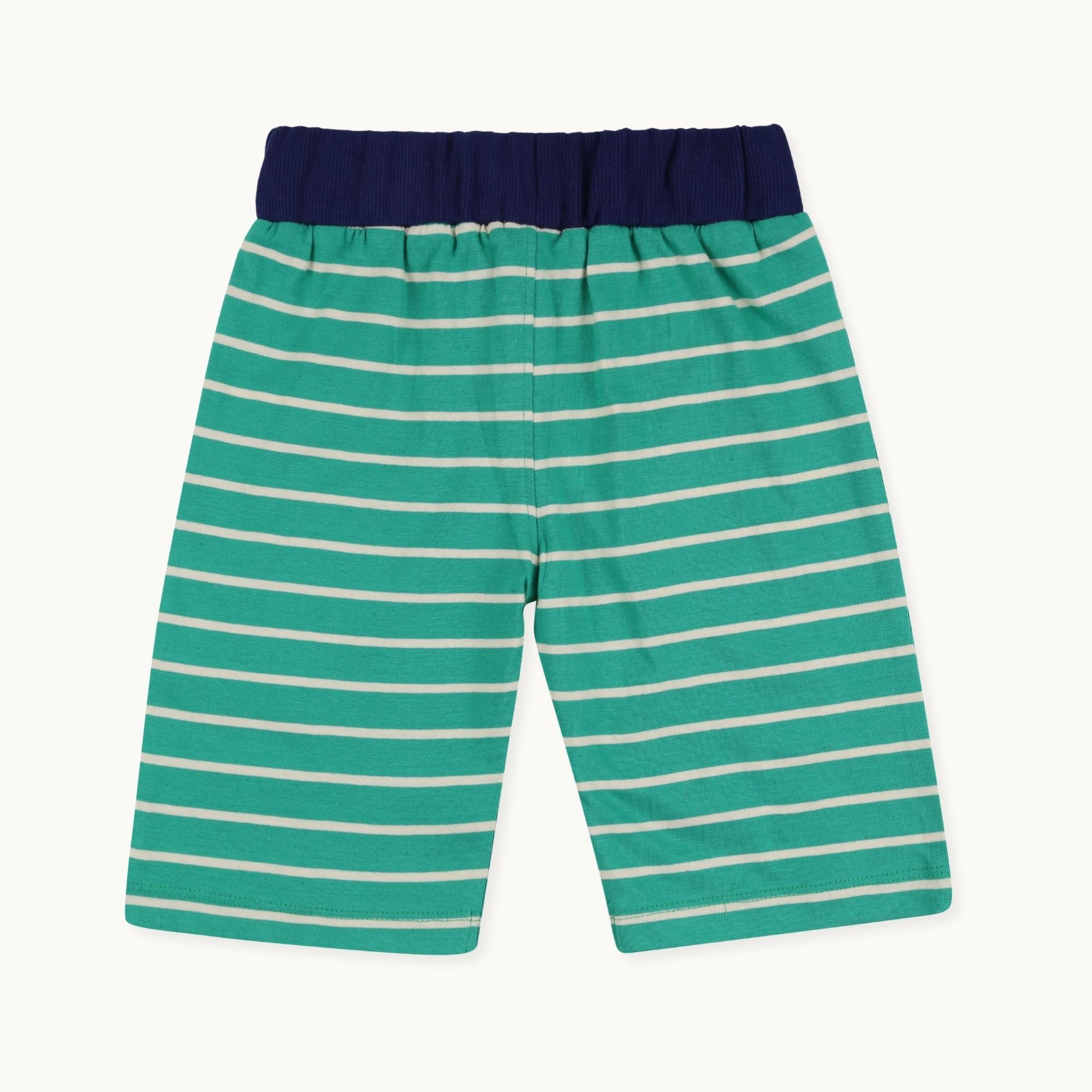 Multicoloured Bugs And Stripe Print Short - 2 Pack
