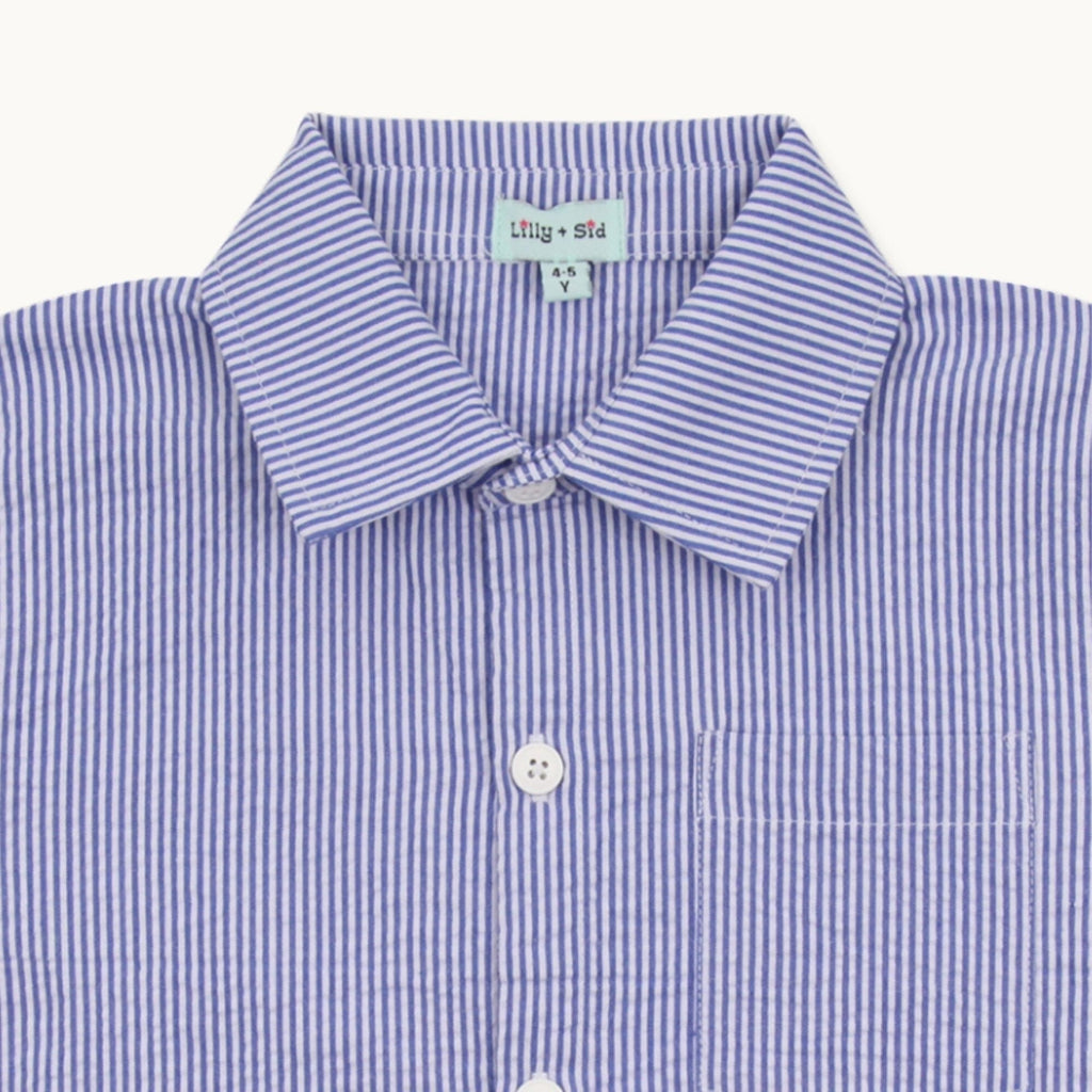 Blue Stripe Print Shirt
