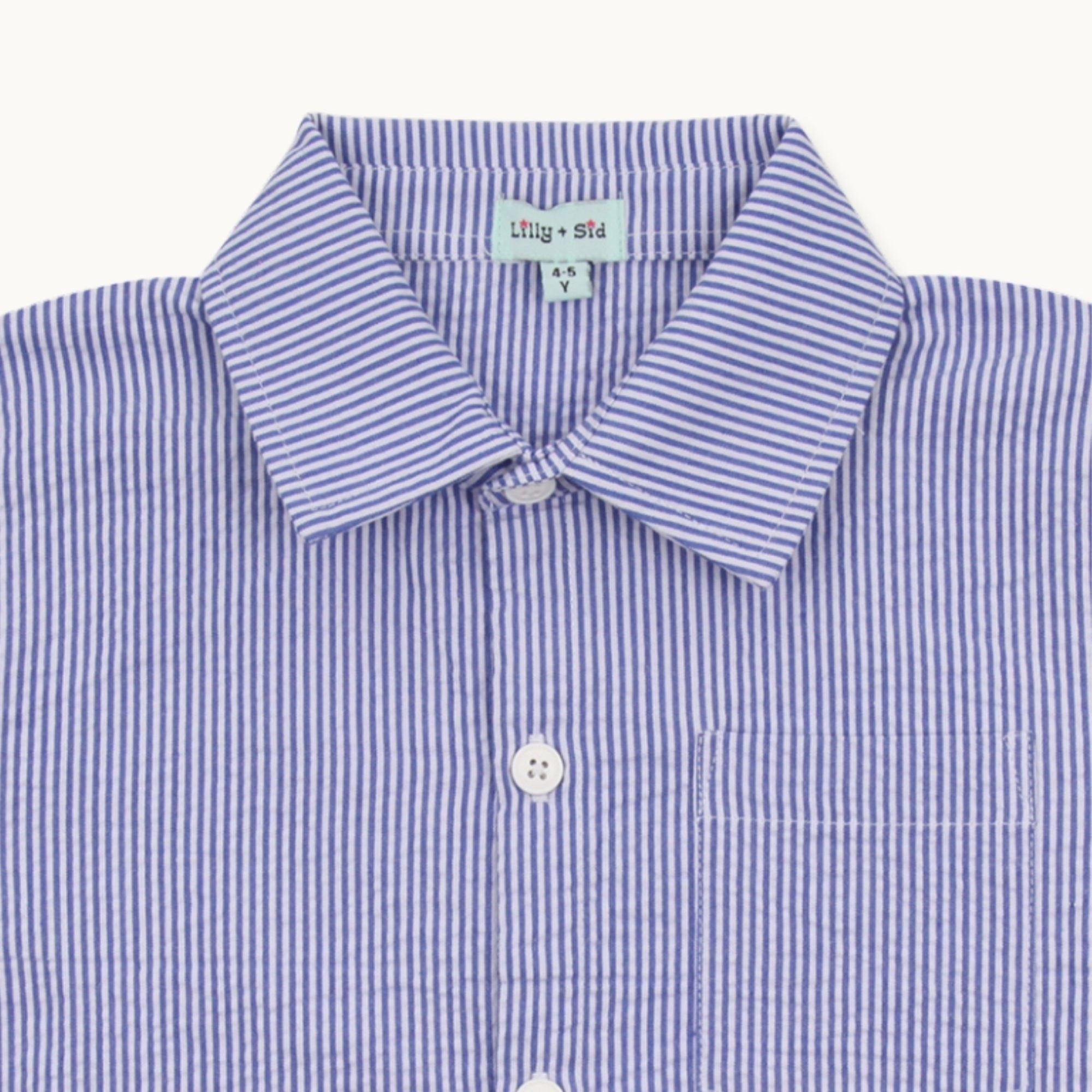 Blue Stripe Print Shirt