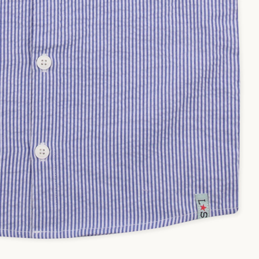 Blue Stripe Print Shirt