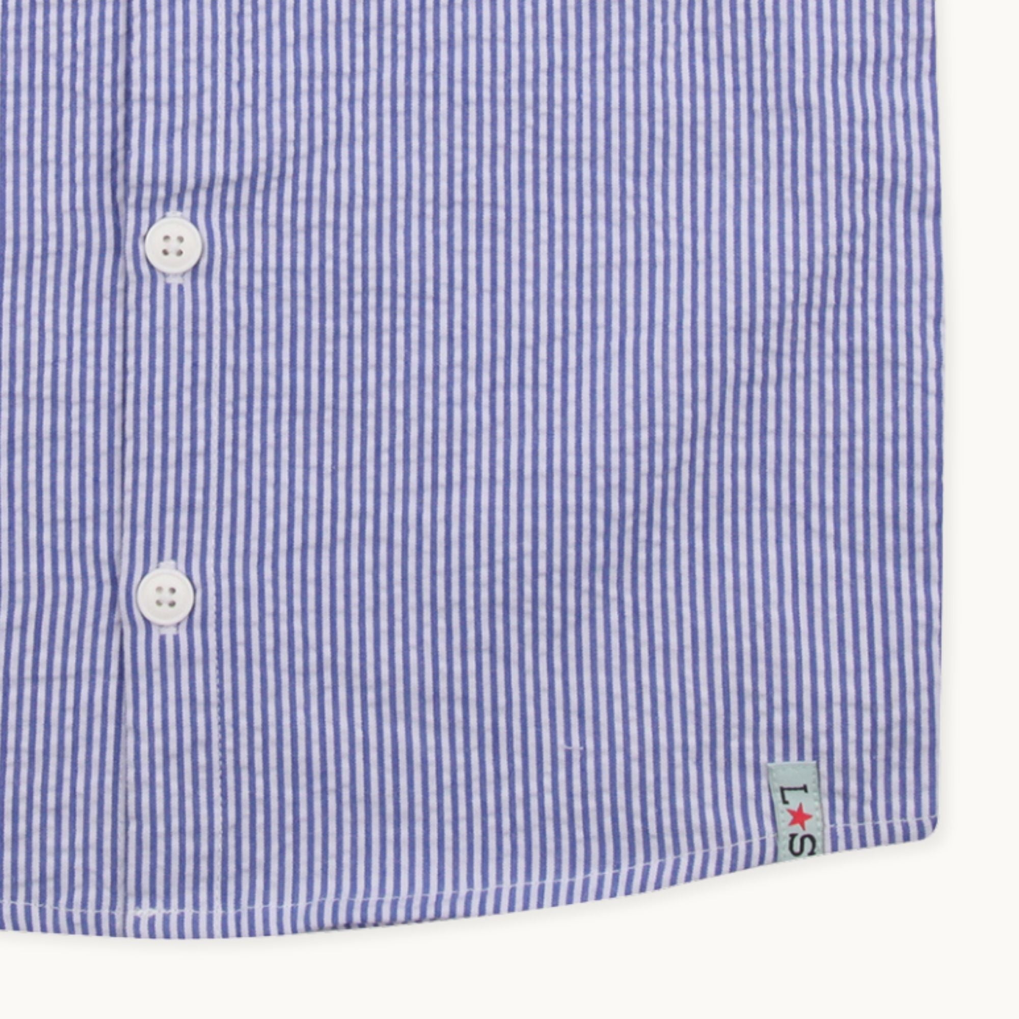 Blue Stripe Print Shirt