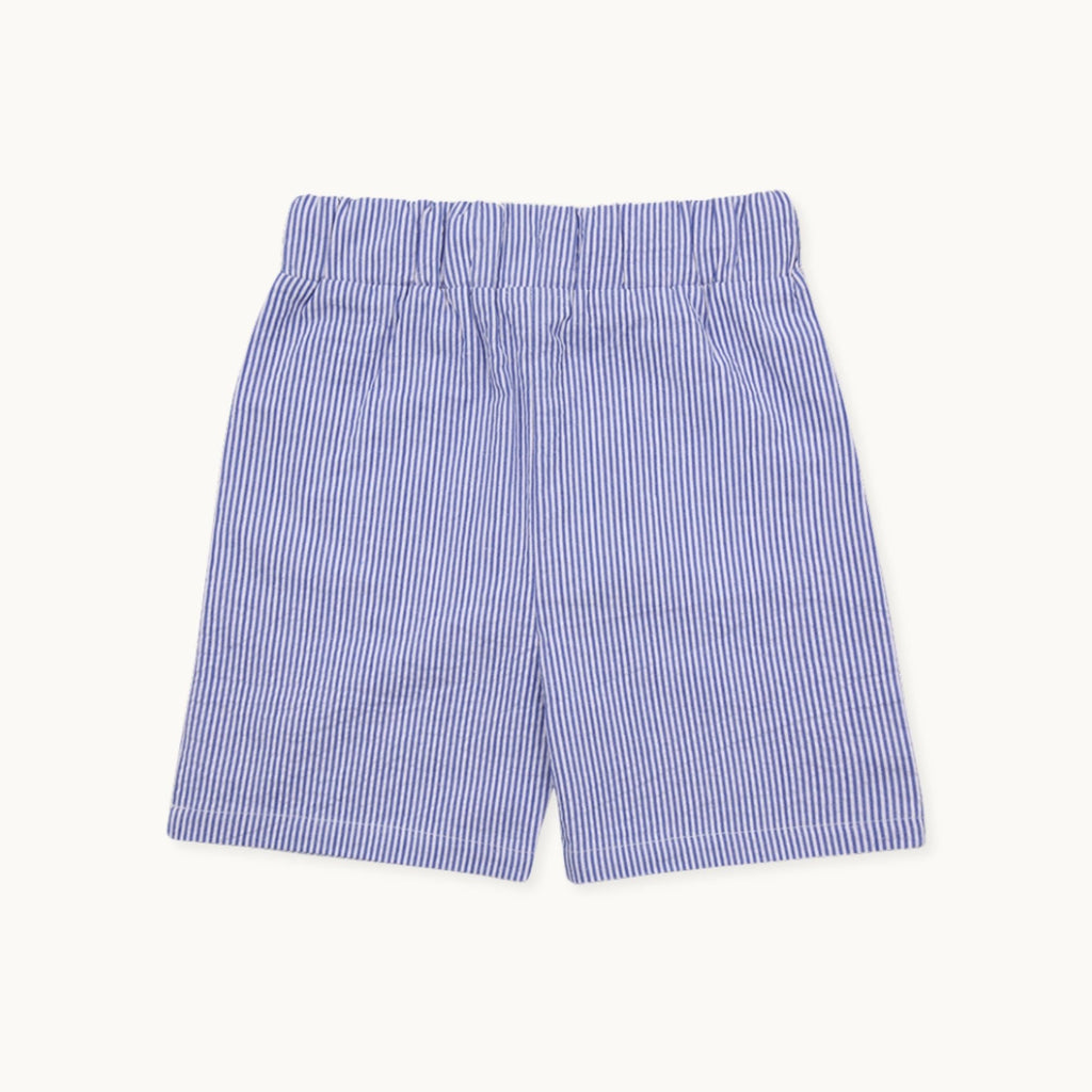 Blue Stripe Print Shorts