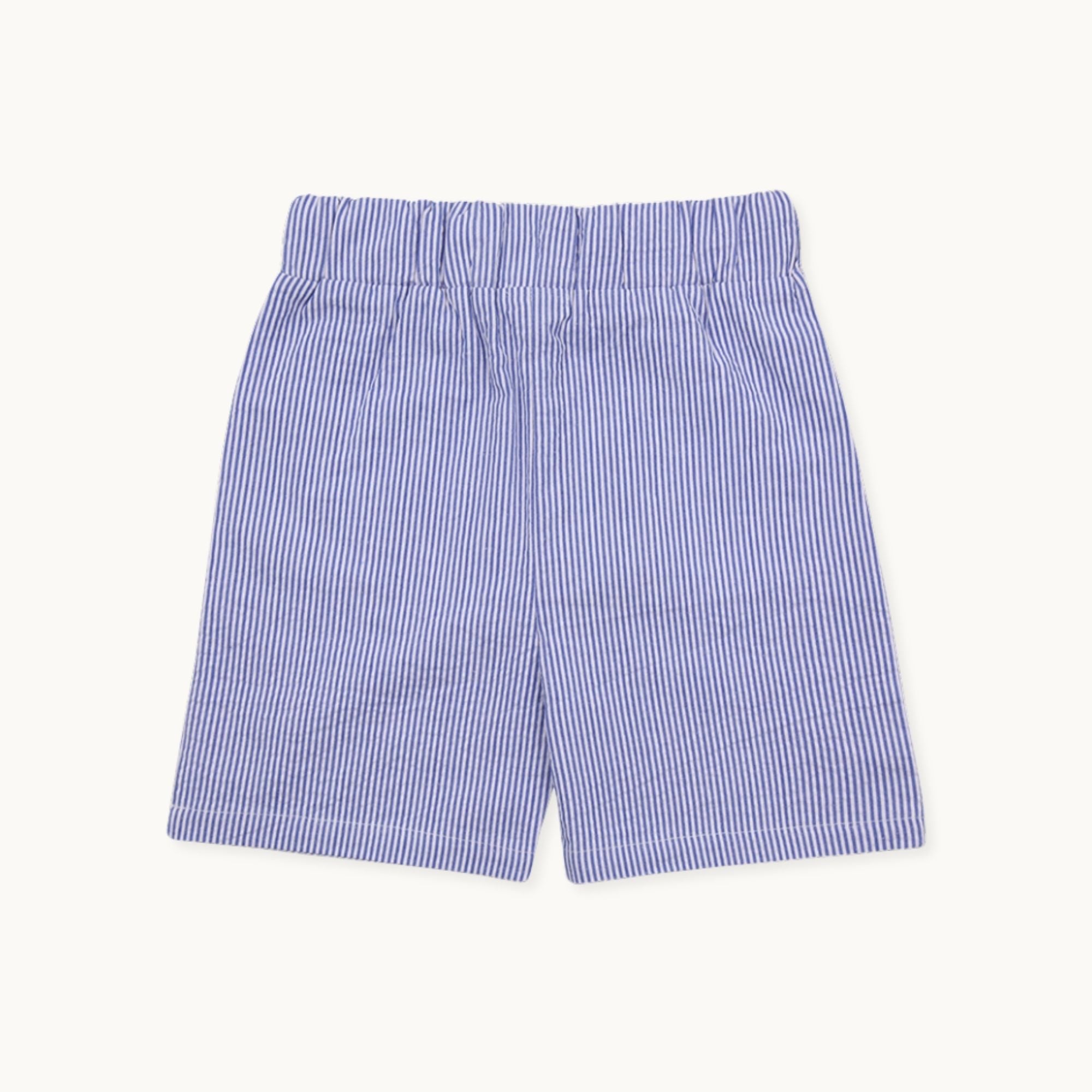 Blue Stripe Print Shorts