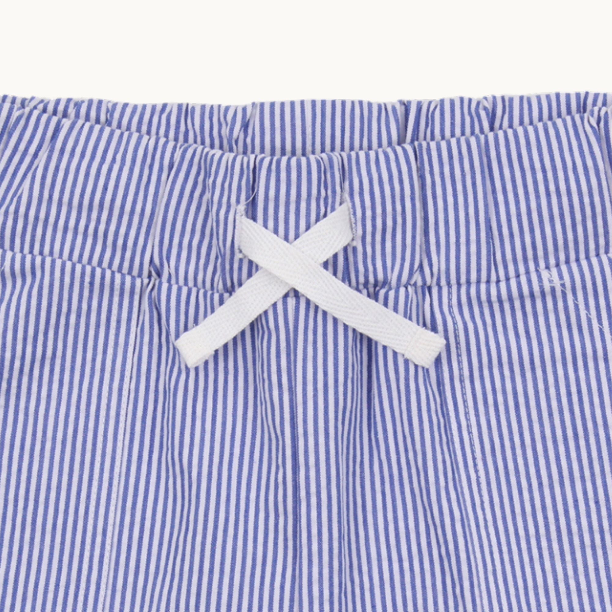 Blue Stripe Print Shorts