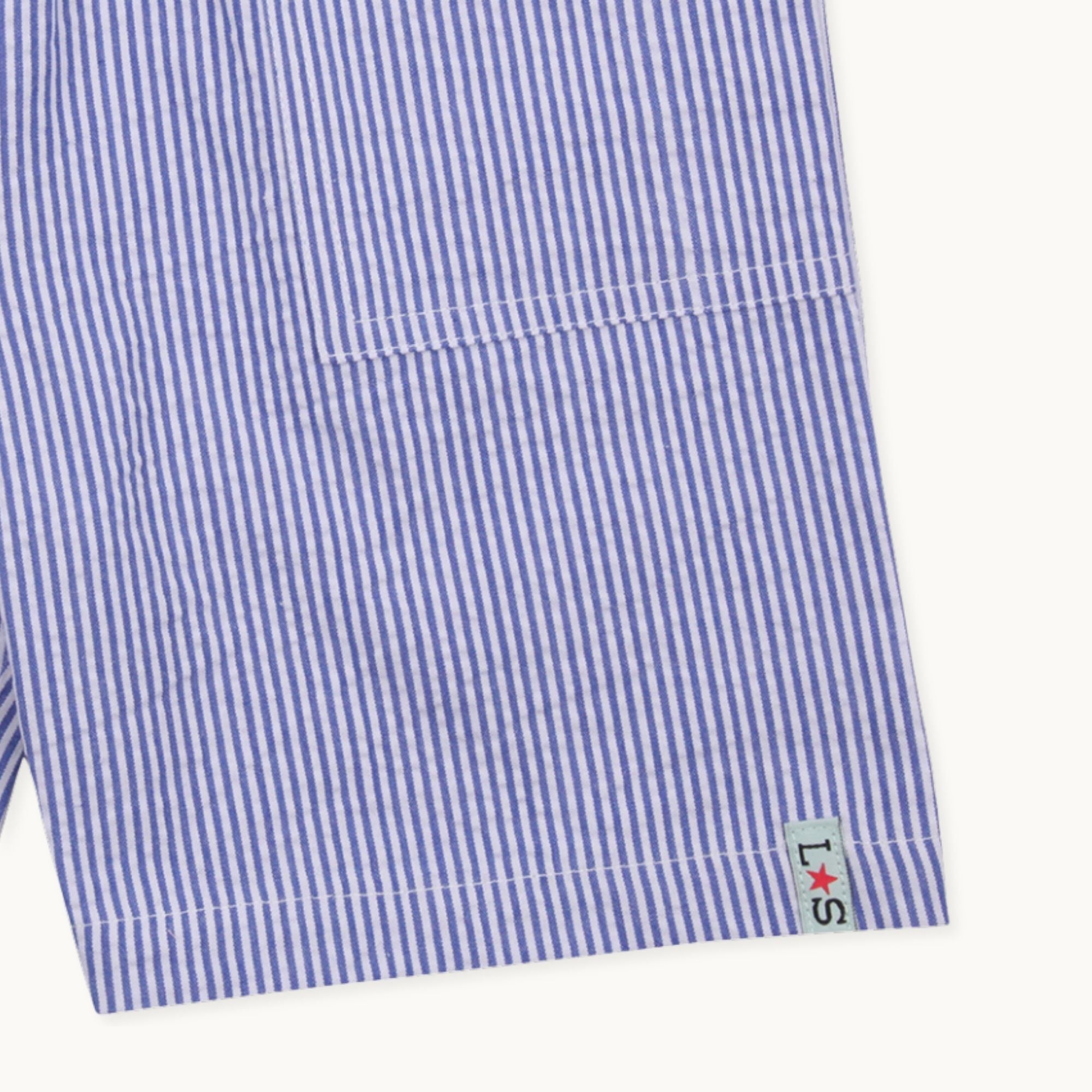Blue Stripe Print Shorts