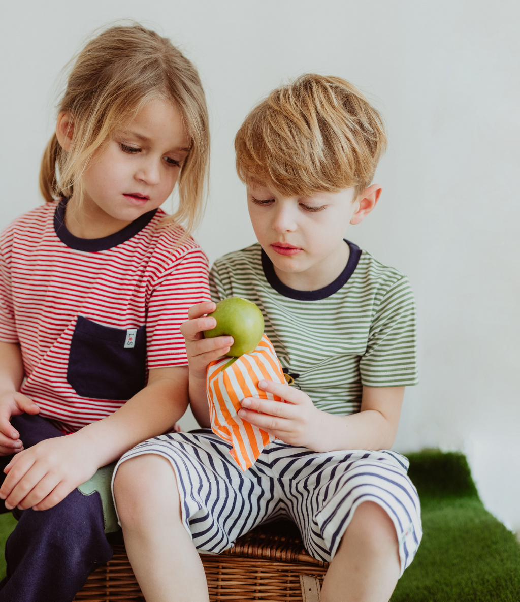 Multicoloured Seagull And Stripe Print T-Shirts - 2 Pack