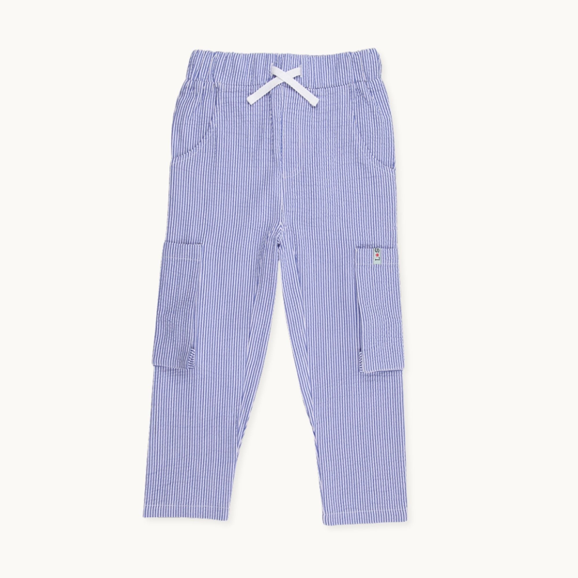 Blue Stripe Print Trousers