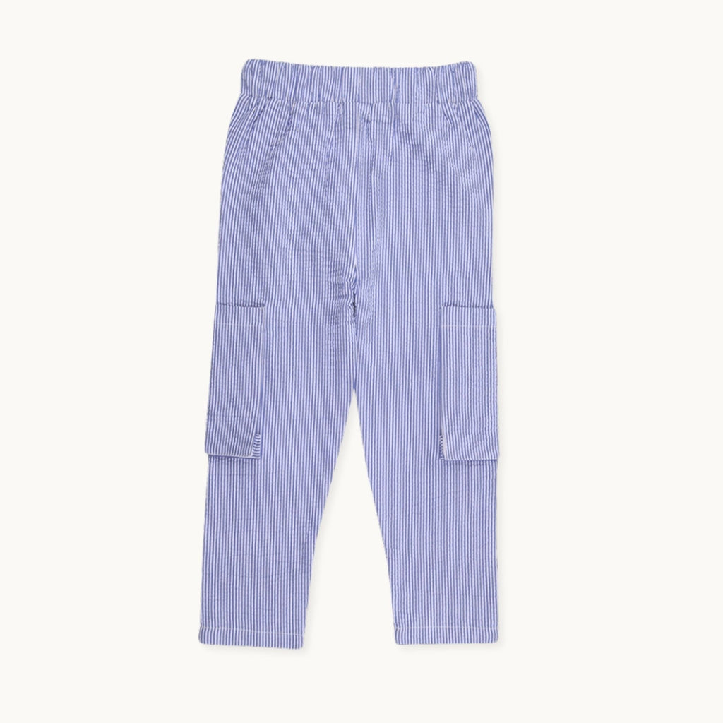 Blue Stripe Print Trousers