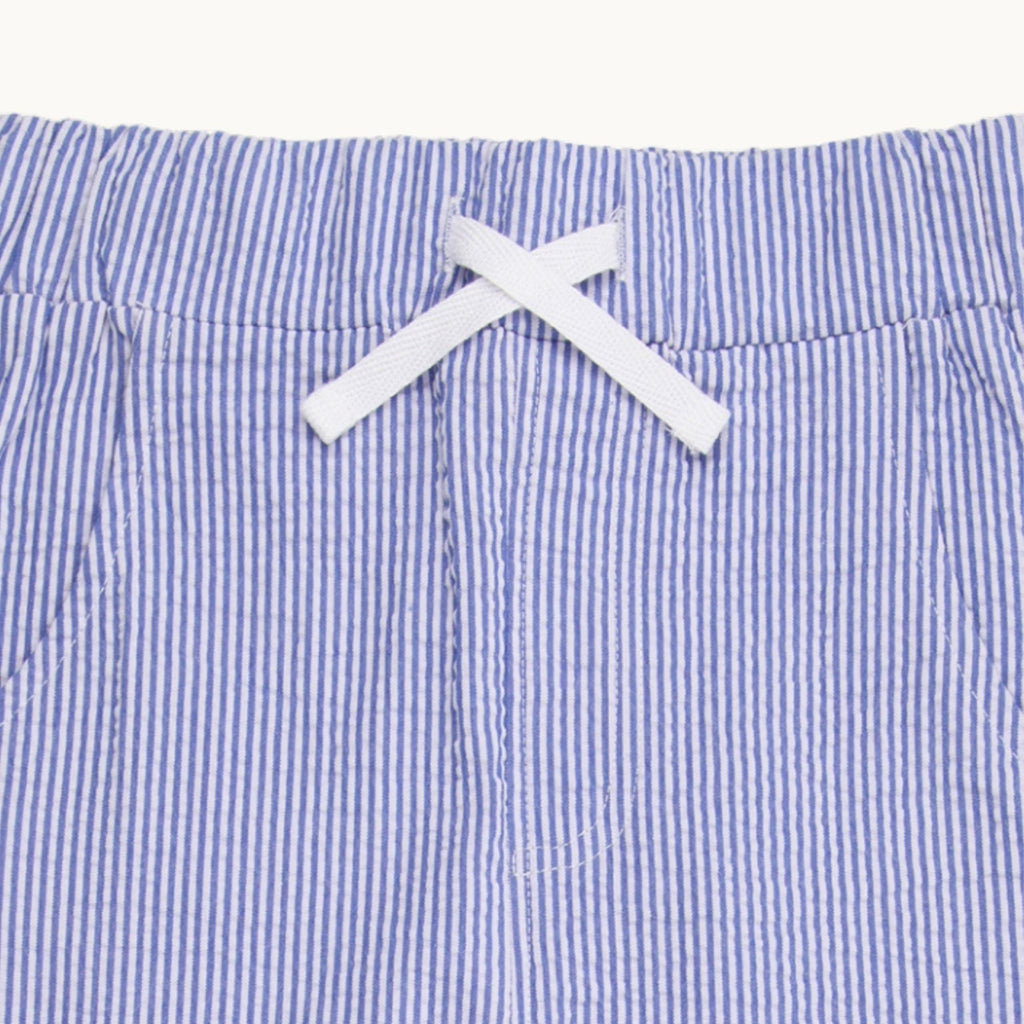 Blue Stripe Print Trousers