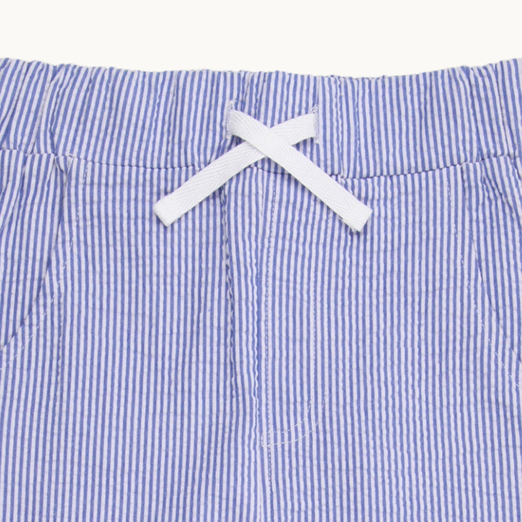 Blue Stripe Print Trousers