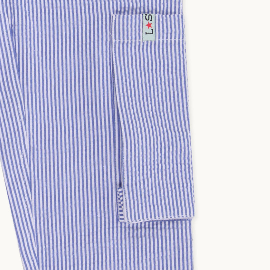 Blue Stripe Print Trousers