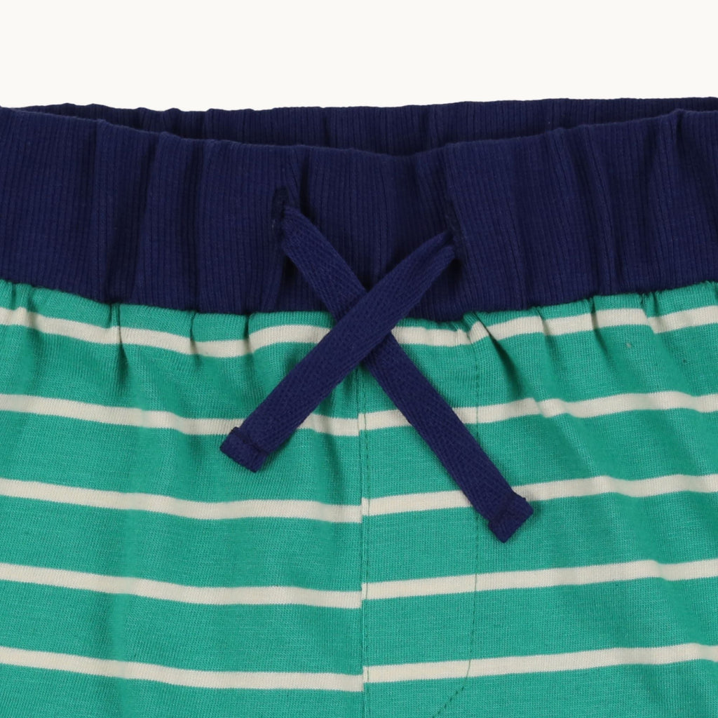 Multicoloured Bugs And Stripe Print Short - 2 Pack