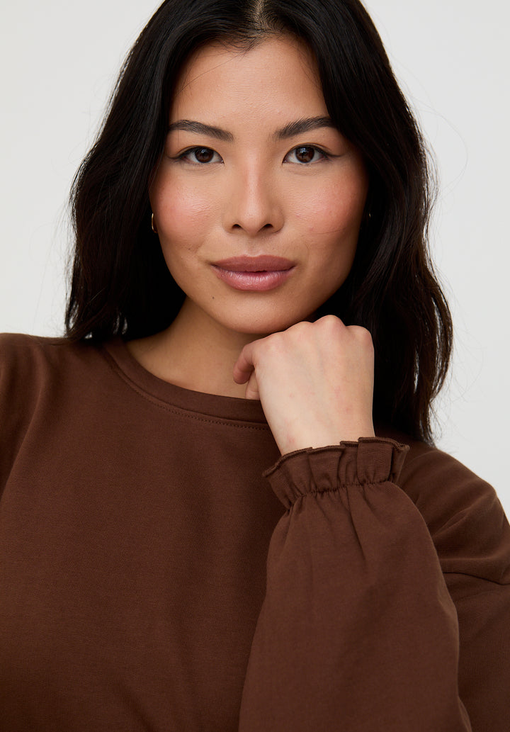 Ivy Brown Sweatshirt