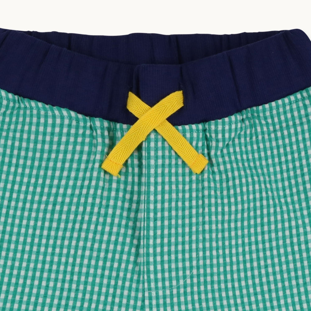 Green Gingham Print Shorts