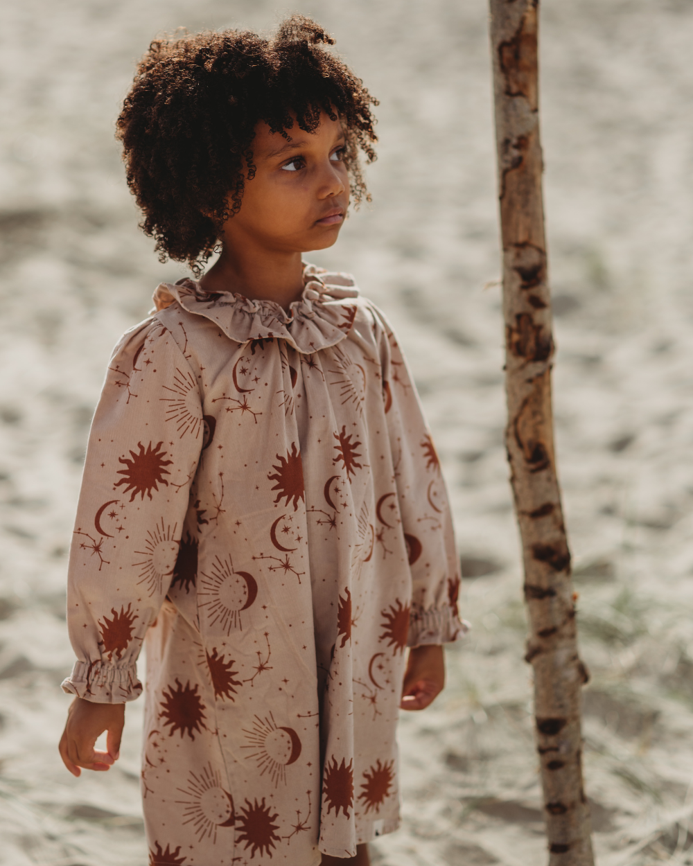 Beige Celestial Print Ruffle Neck Dress - image 3