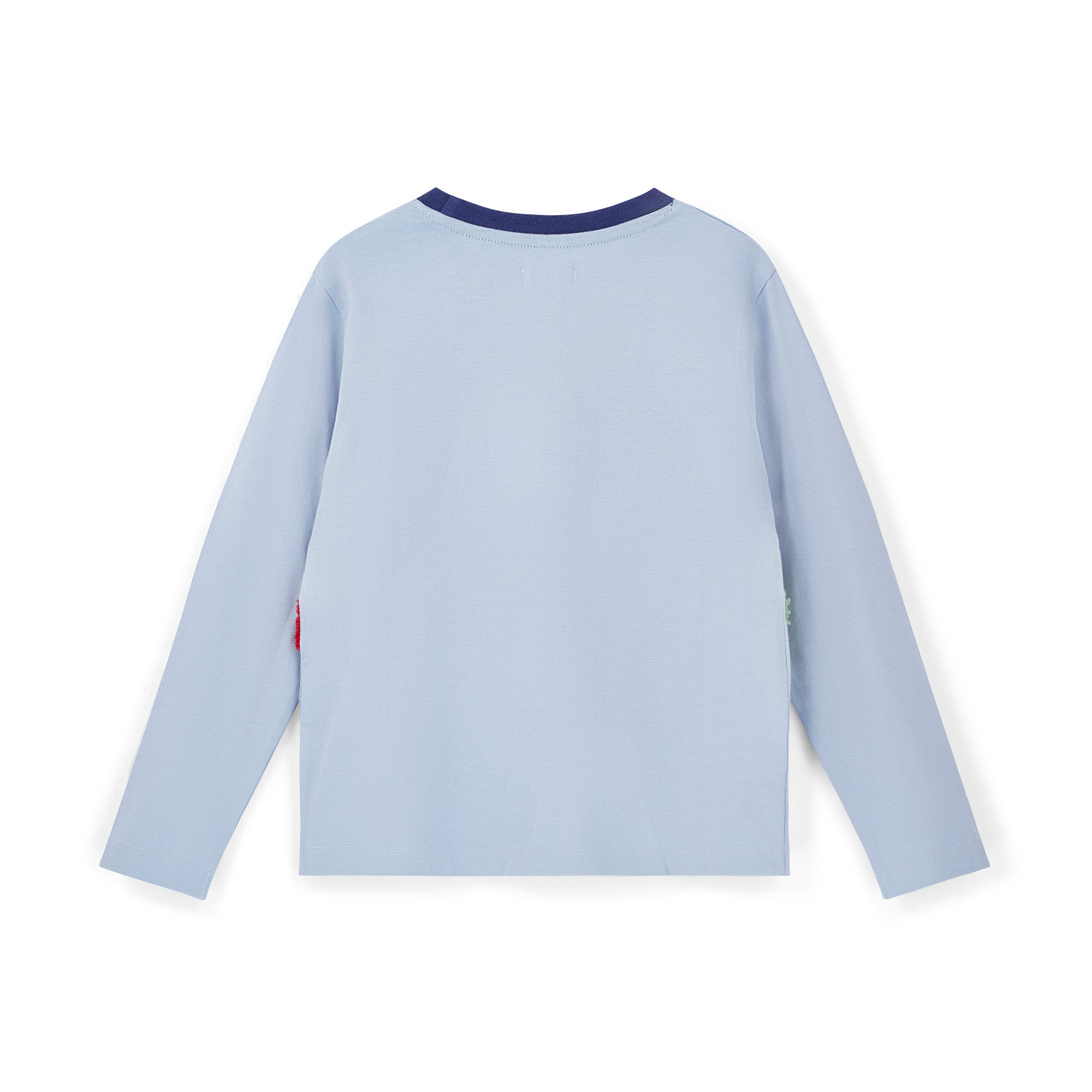Light Blue Roaming Dinosaur Applique Top