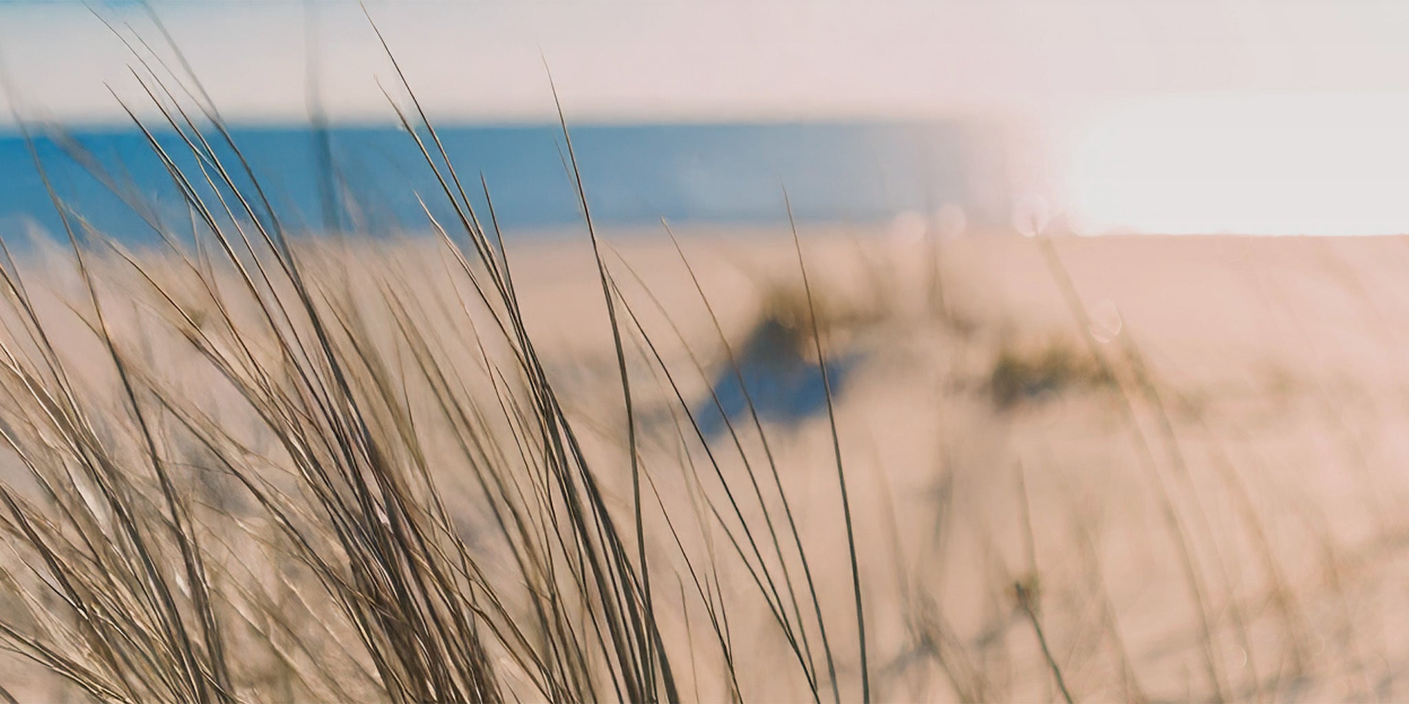 Beach scene with sea and reeds 