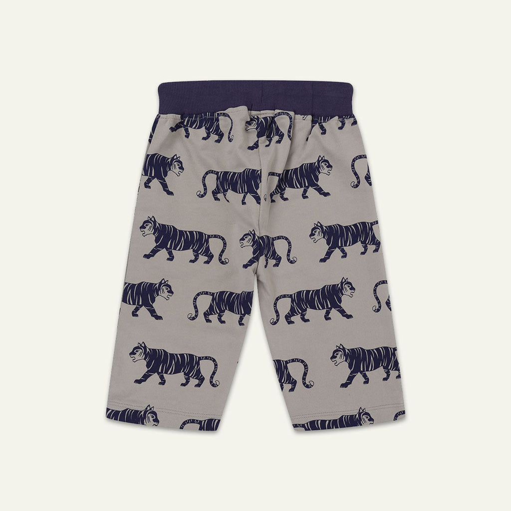 Multicoloured Tiger And Stripe Shorts - 2 Pack