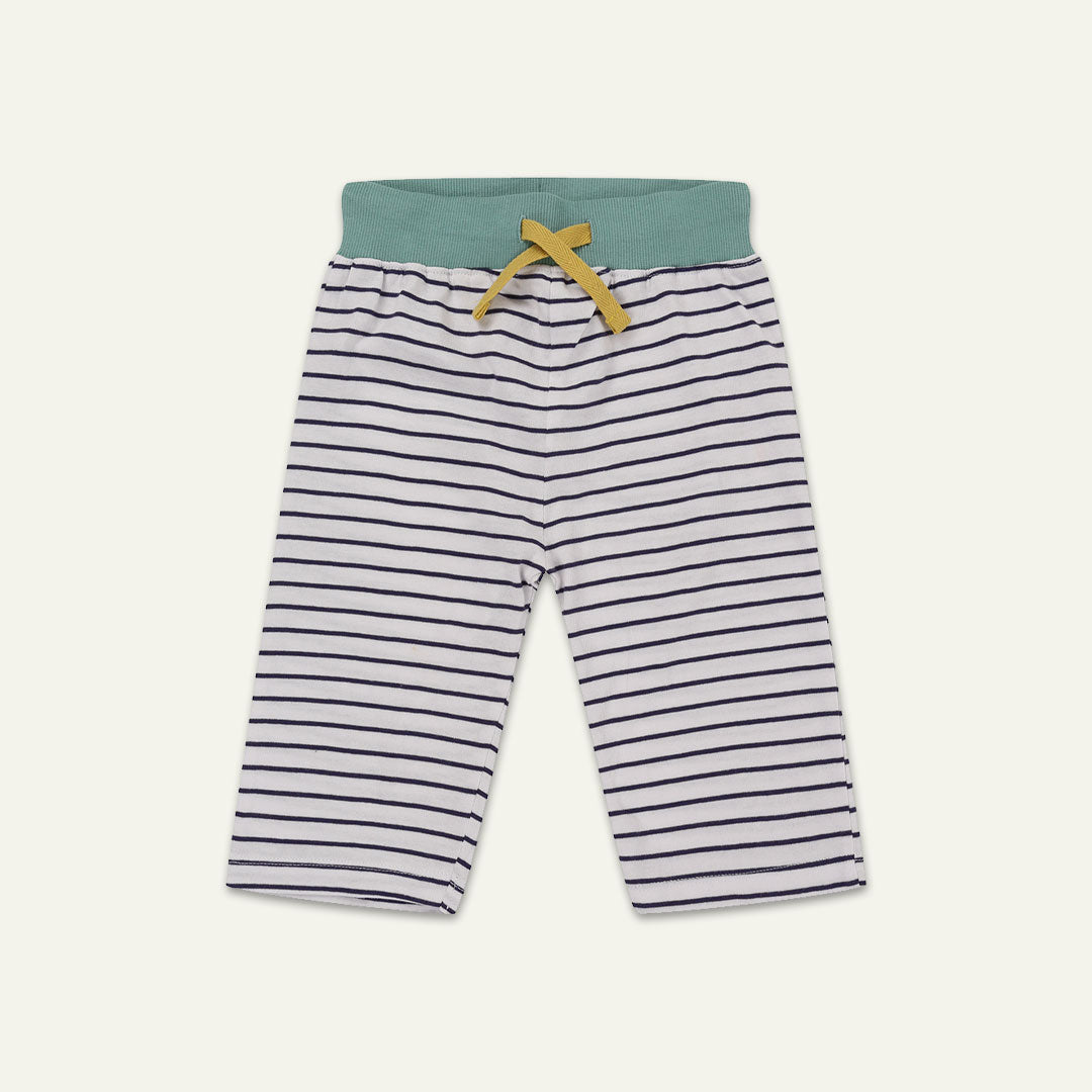 Multicoloured Tiger And Stripe Shorts - 2 Pack