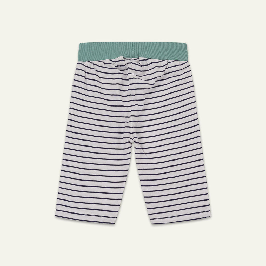 Multicoloured Tiger And Stripe Shorts - 2 Pack