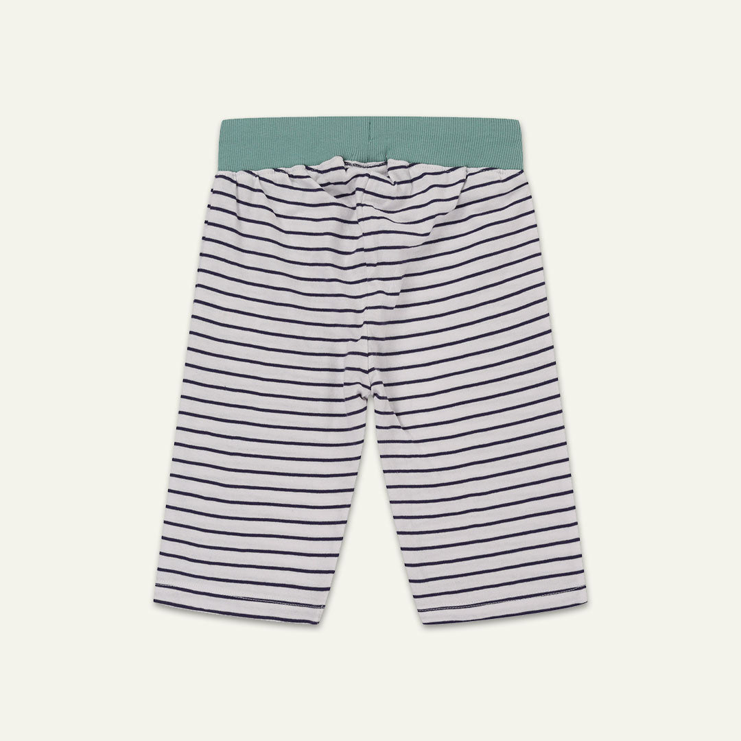 Multicoloured Tiger And Stripe Shorts - 2 Pack