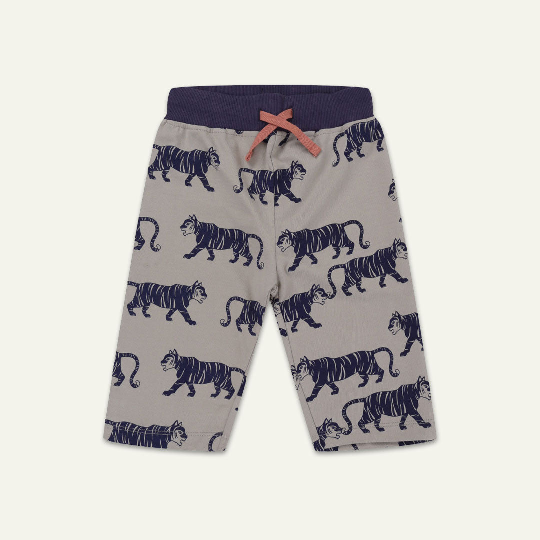 Multicoloured Tiger And Stripe Shorts - 2 Pack