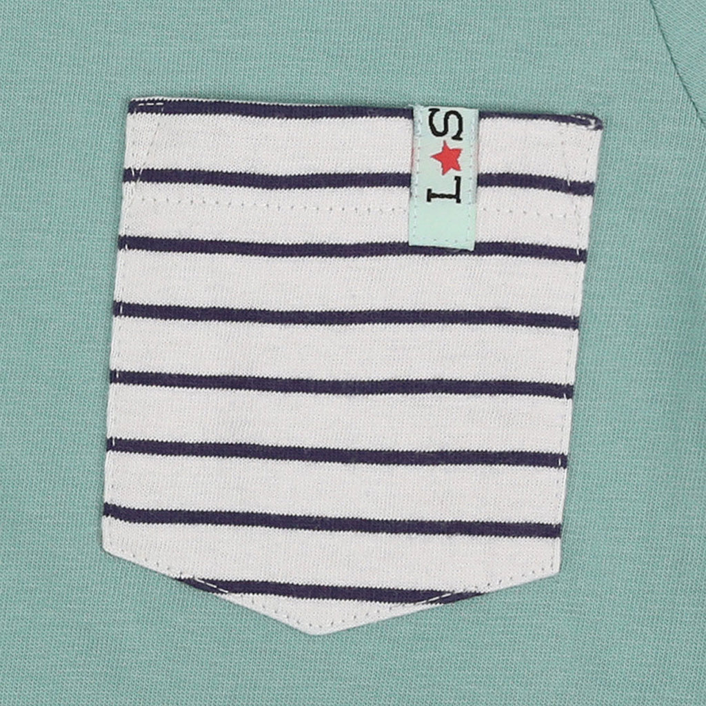 Multicoloured Whale, Stripe Print And Plain T-Shirts - 3 Pack