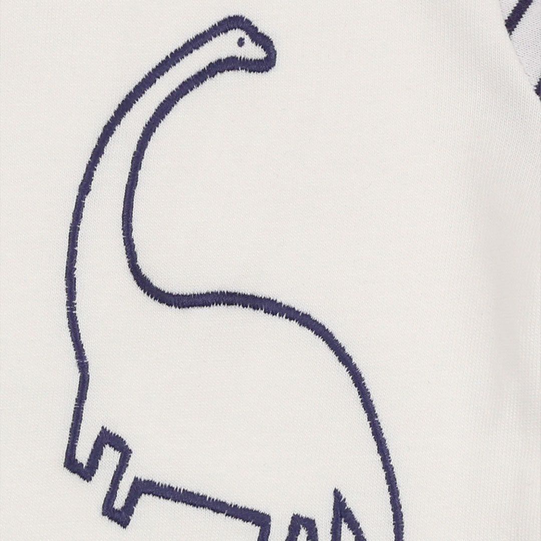 Multicoloured Dinosaur Print T-shirt And Legging Set