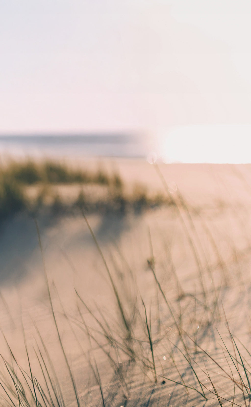 Beach scene with sea and reeds 