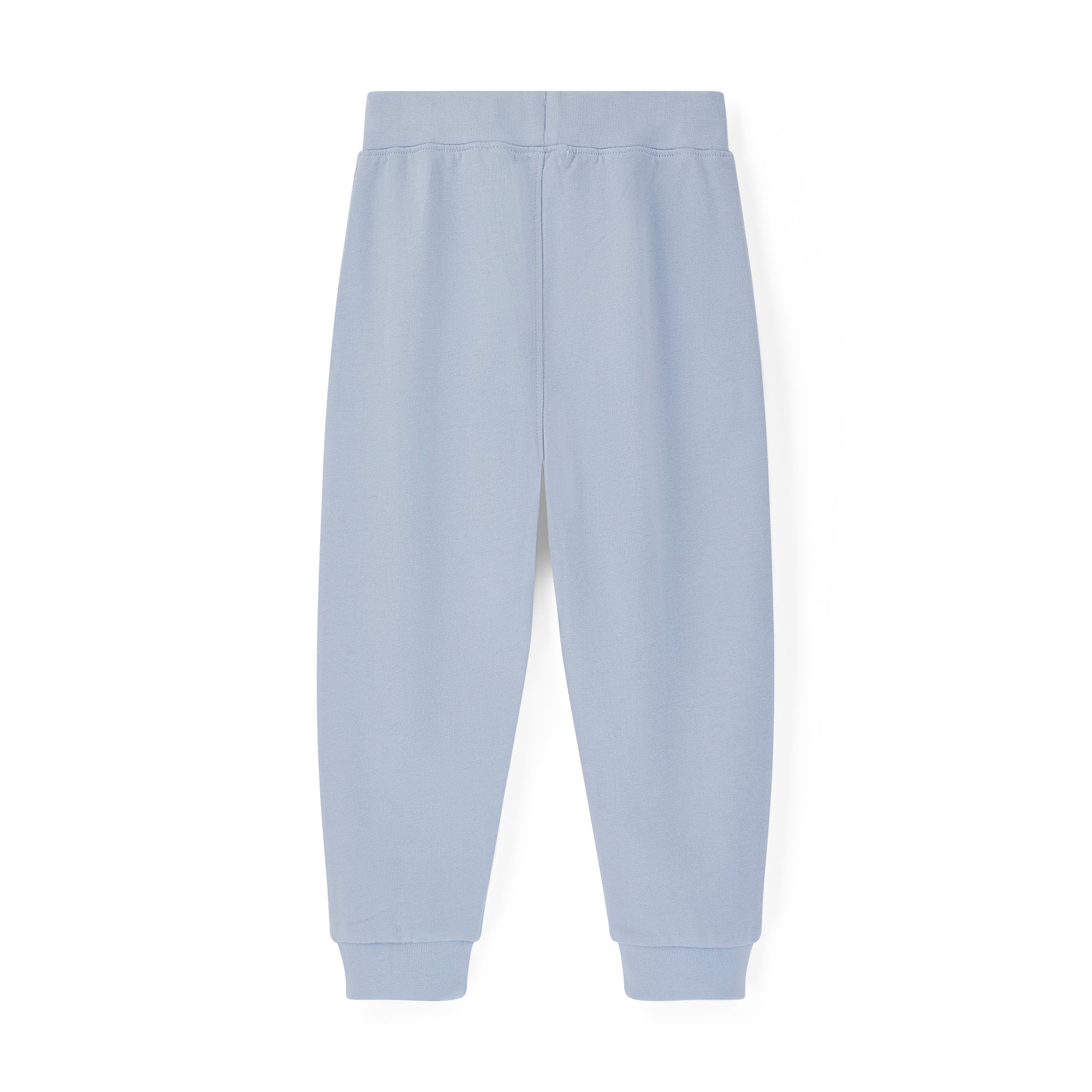 Light Blue Self Fabric Panel Plain Joggers