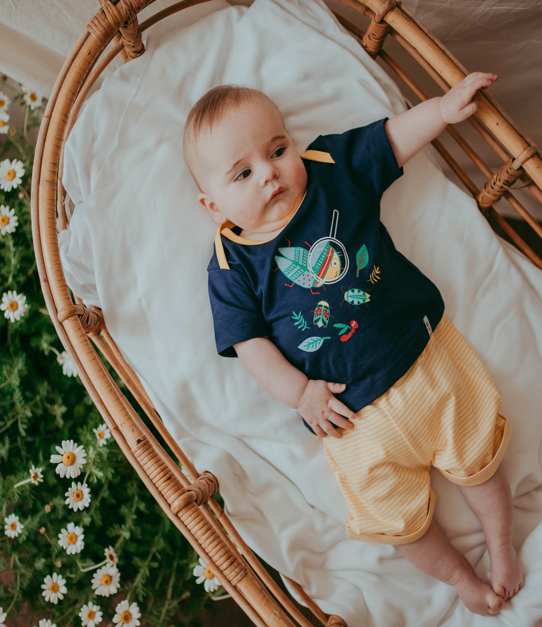 Multicoloured Bugs Print T-shirt and Short Set