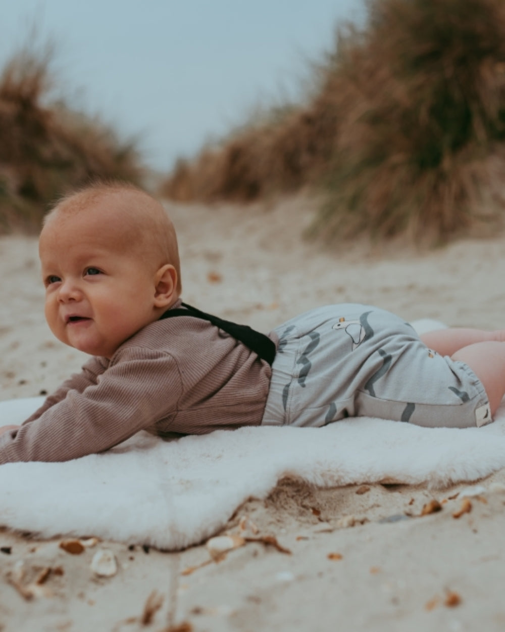 Grey Seagull Print Bracer Bloomers - image 1